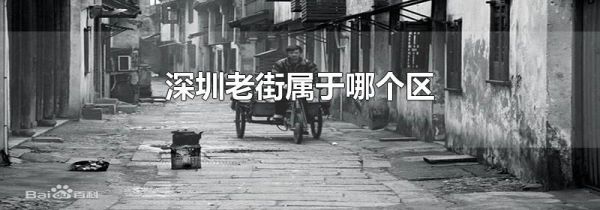 深圳老街属于哪个区