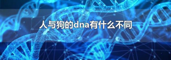 人与狗的dna有什么不同