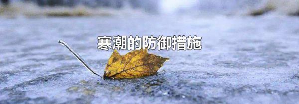 寒潮的防御措施