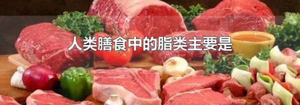 人类膳食中的脂类主要是