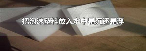 把泡沫塑料放入水中是沉还是浮
