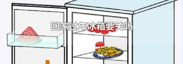 回家过年冰箱要关吗