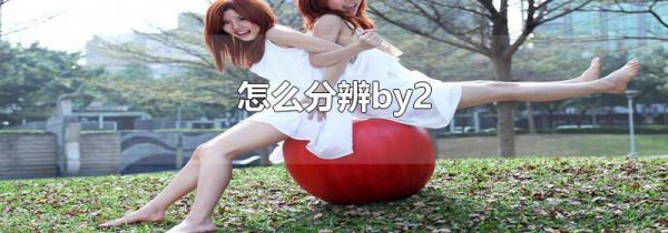 怎么分辨by2