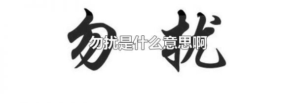 勿扰是什么意思啊