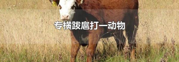 专横跋扈打一动物
