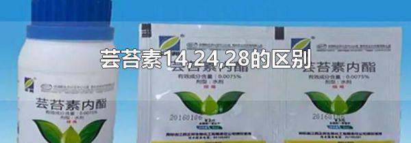 芸苔素14,24,28的区别