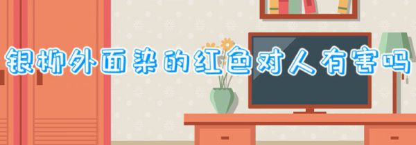 银柳外面染的红色对人有害吗