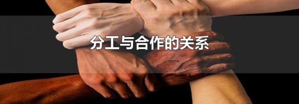分工与合作的关系