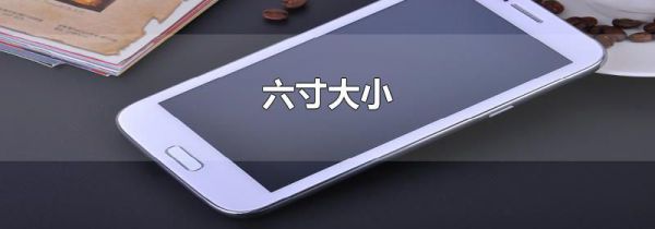 六寸大小