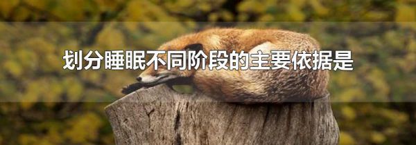 划分睡眠不同阶段的主要依据是