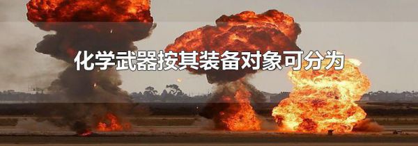 化学武器按其装备对象可分为