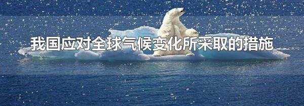 我国应对全球气候变化所采取的措施
