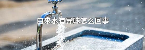 自来水有异味怎么回事