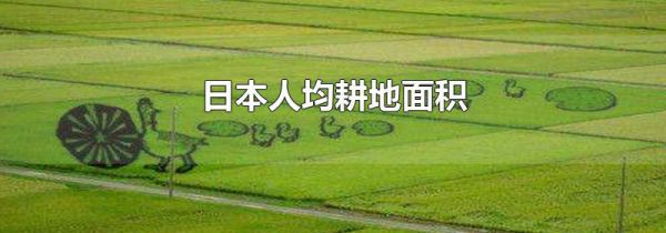 日本人均耕地面积