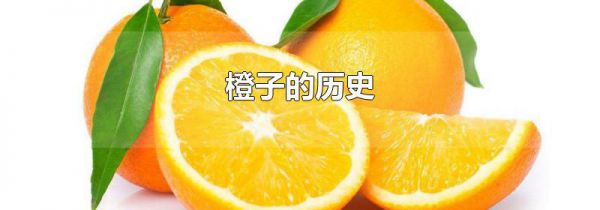 橙子的历史