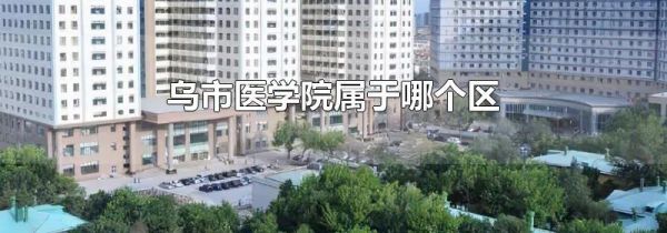 乌市医学院属于哪个区
