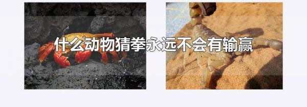 什么动物猜拳永远不会有输赢