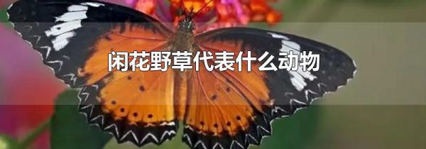闲花野草代表什么动物