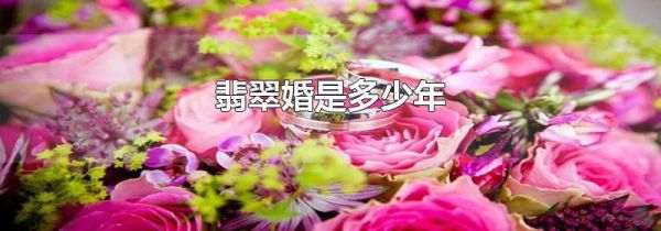 翡翠婚是多少年
