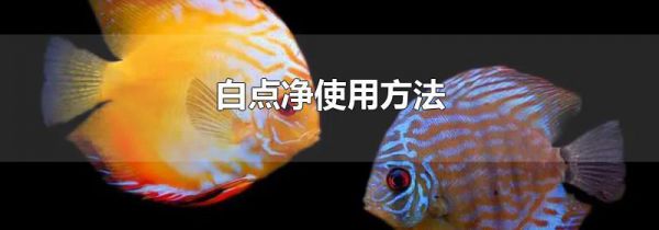 白点净使用方法