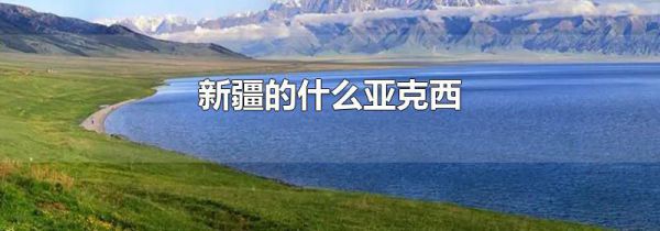 新疆的什么亚克西