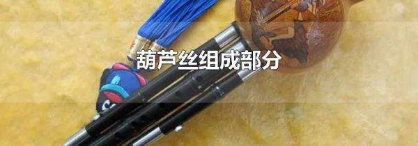 葫芦丝组成部分