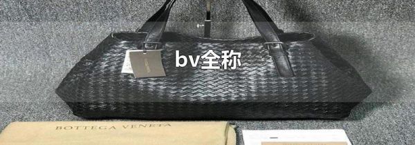 bv全称