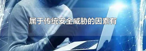 属于传统安全威胁的因素有