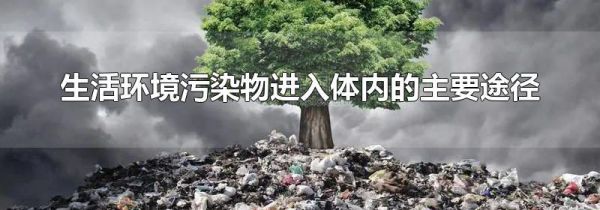 生活环境污染物进入体内的主要途径