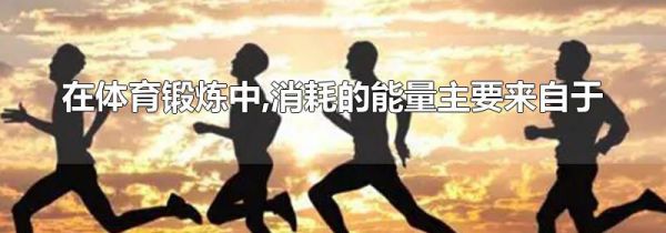 在体育锻炼中,消耗的能量主要来自于