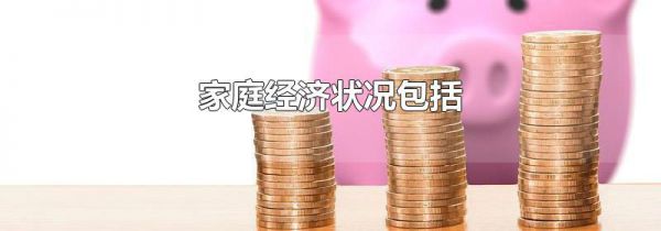 家庭经济状况包括