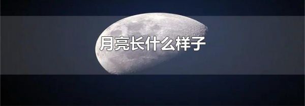 月亮长什么样子