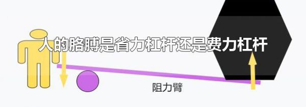 人的胳膊是省力杠杆还是费力杠杆