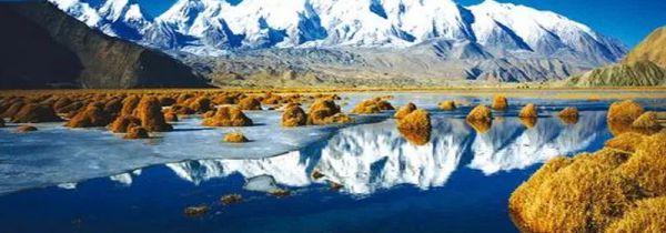 简述新疆地区多种宗教并存格局的演变过程