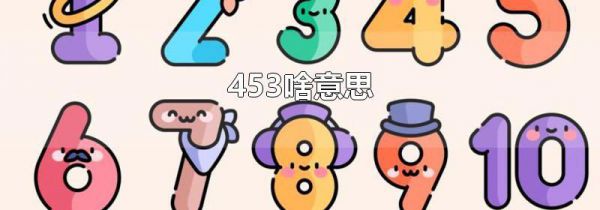 453啥意思