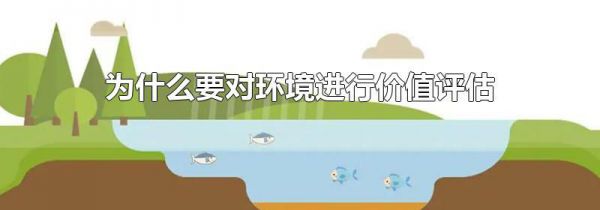 为什么要对环境进行价值评估