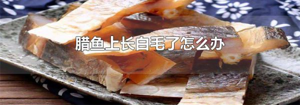 腊鱼上长白毛了怎么办