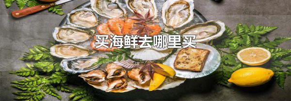 买海鲜去哪里买