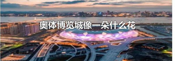 奥体博览城像一朵什么花