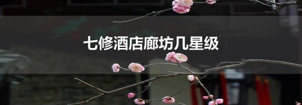 七修酒店廊坊几星级