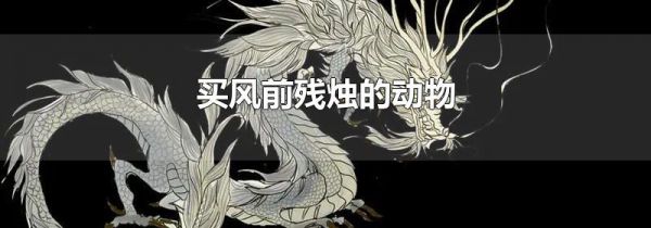 买风前残烛的动物