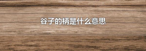 谷子的柄是什么意思