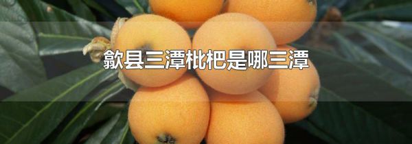 歙县三潭枇杷是哪三潭