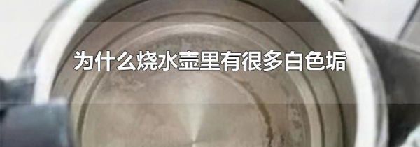 为什么烧水壶里有很多白色垢