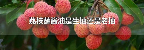 荔枝蘸酱油是生抽还是老抽