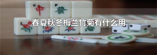 春夏秋冬梅兰竹菊有什么用