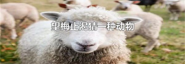 望梅止渴猜一种动物