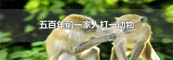五百年前一家人打一动物