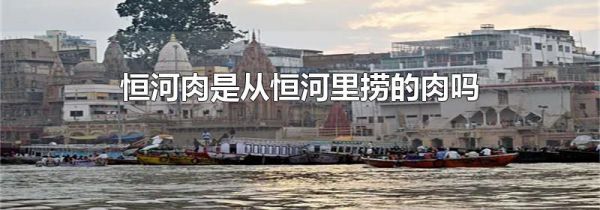 恒河肉是从恒河里捞的肉吗