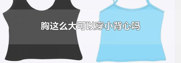 胸这么大可以穿小背心吗